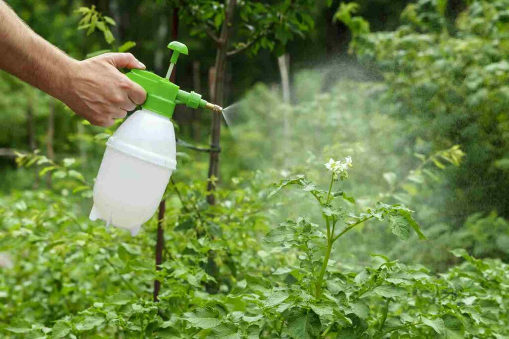 Vinaigre blanc désherbant interdit