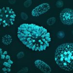 maladies infectieuses