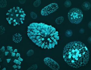 maladies infectieuses