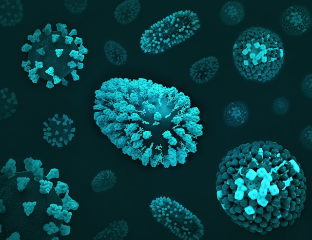 maladies infectieuses