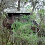 Maison dans les arbres avec des branches et des feuilles