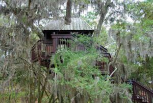 Maison dans les arbres avec des branches et des feuilles