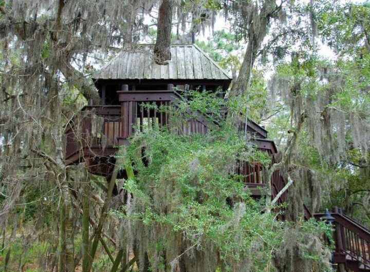 Maison dans les arbres avec des branches et des feuilles